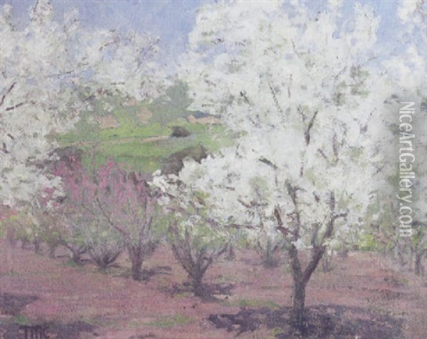 Orchard In Blossom Oil Painting - Theodore Morrow Criley