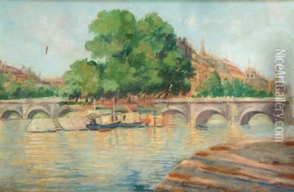 La Seine A Paris Oil Painting - Angel Andrade Blazquez