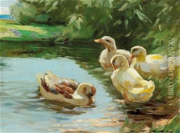 Enten Im Wasser [ducks In The Water) Oil Painting - Demeter Koko