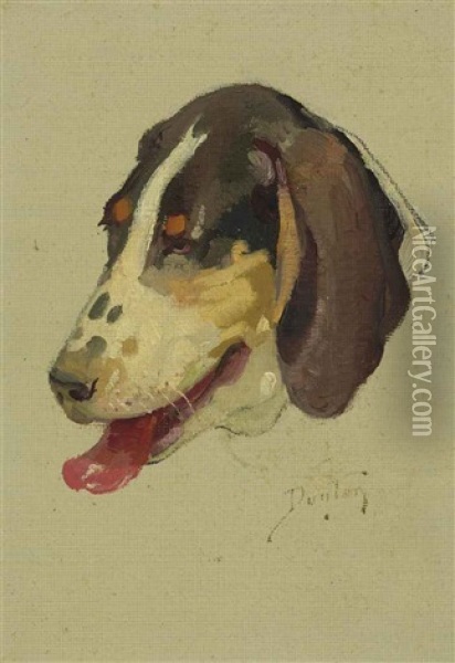 Dog (study) Oil Painting - William Herbert Dunton