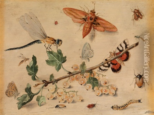 Weisse Johannisbeeren Und Insekten Auf Papierfarbenem Untergrund Oil Painting - Jan van Kessel the Elder