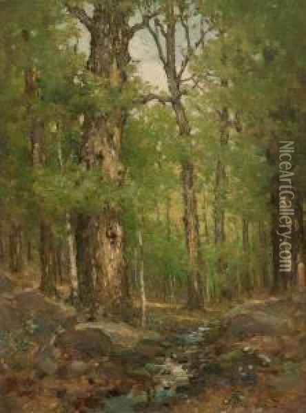 Forest Interior Oil Painting - Cullen Yates