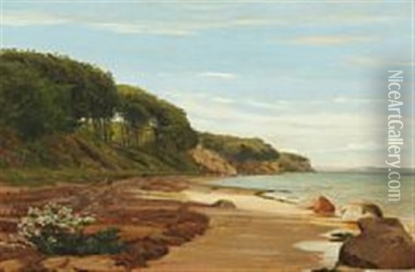 Danish Coastal Scenery Oil Painting - Christian Blache