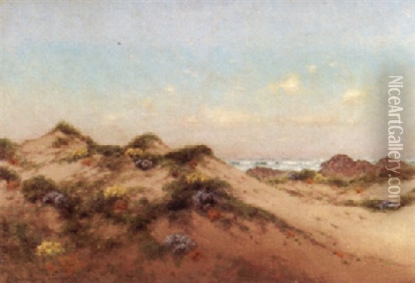 Flowering Dunes, California Oil Painting - Charles Dorman Robinson