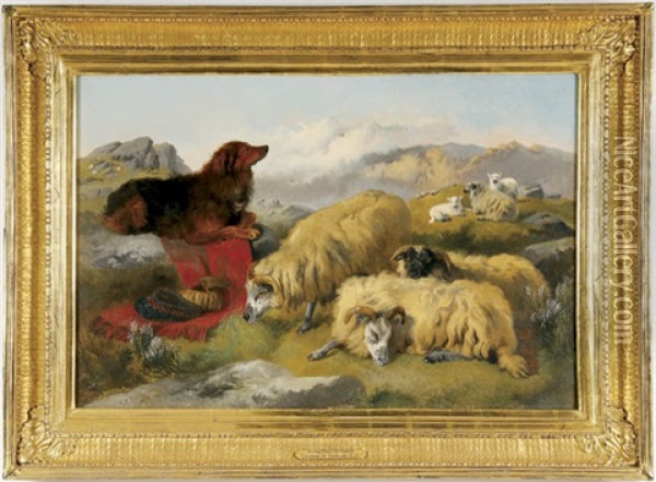 Guarding Sheep In The Highlands Oil Painting - George William Horlor