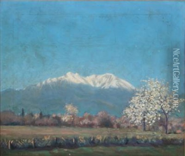 Bjaerget Canigou I Pyrenaeerne Oil Painting - Carl Stilling