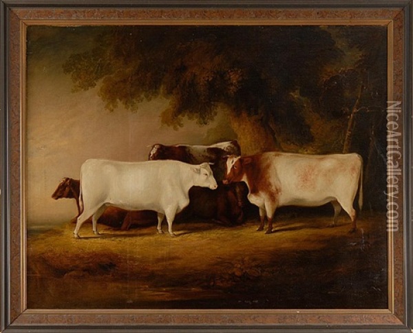 A Group Of Four Prize Cattle Oil Painting - Thomas Weaver