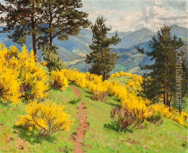 Flowering Broom Oil Painting - Curt Liebich