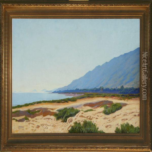 Coastal Scenery Oil Painting - Poul Corona