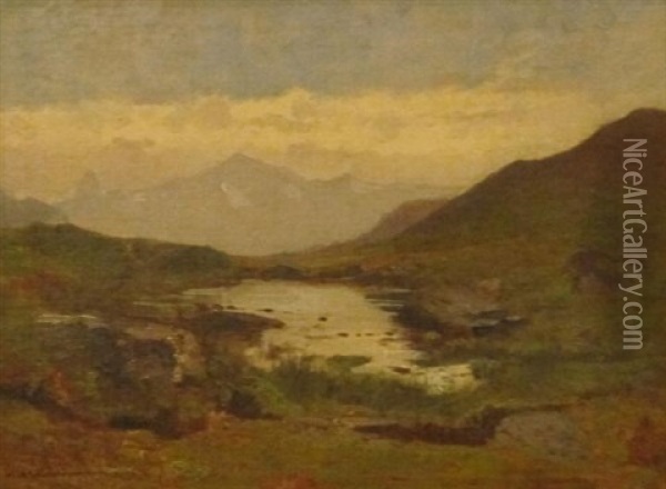 Lac De Montagne Oil Painting - Friedrich Zimmermann