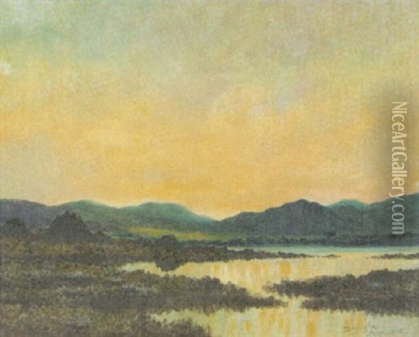 Abendliche Schottische Seelandschaft Oil Painting - Douglas Alexander
