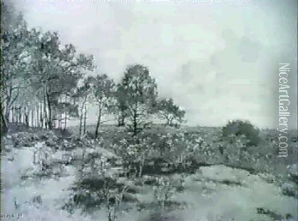 Typische Landschaft In Der Carmarque Im Vorfruhling Oil Painting - Pierre Emmanuel Eugene Damoye