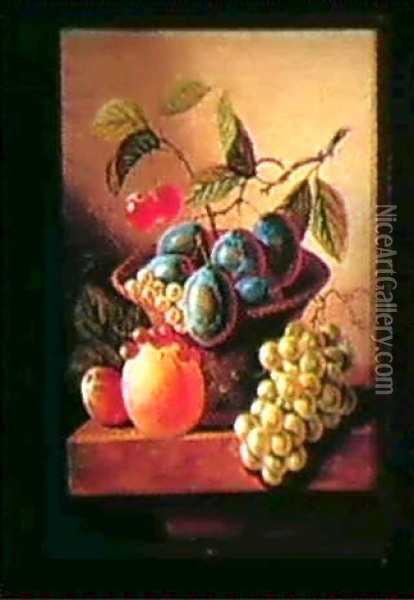 Still Life Of Fruit Oil Painting - Johannes Cornelis de Bruyn