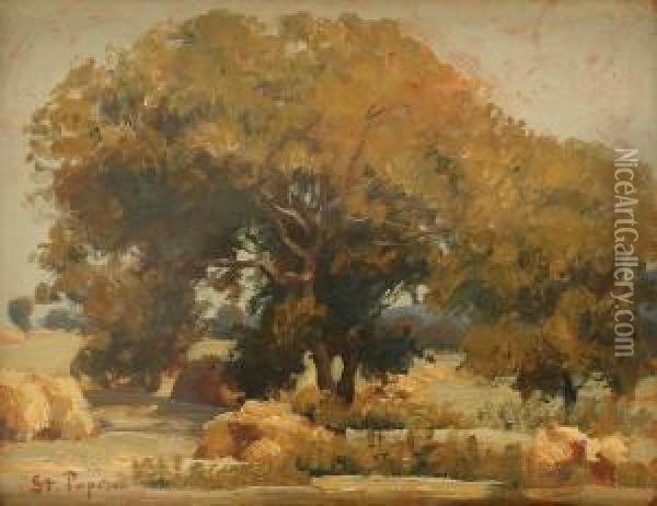 Under The Shadow Of Nut Trees Oil Painting - Stefan Popescu