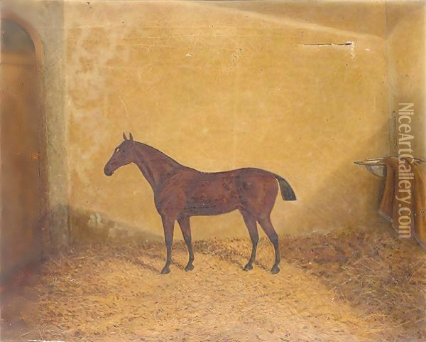 Bay hunter in a stable Oil Painting - James Senior Clark
