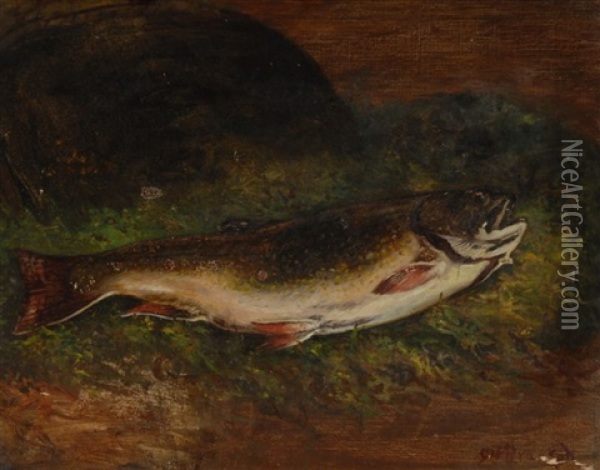Trout Oil Painting - Sidney Lawrence Brackett