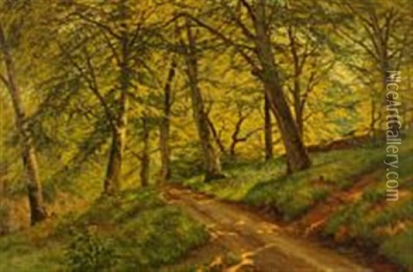 A Scene From Marselisborg Forest Oil Painting - Carl Milton Jensen