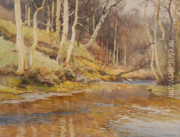 Woodland River Oil Painting - Ernest William Haslehurst