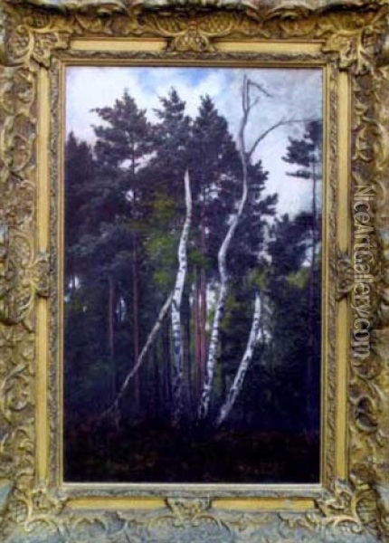 Bouleaux Dans La Foret De Fontainebleau Oil Painting - Alexandre Defaux