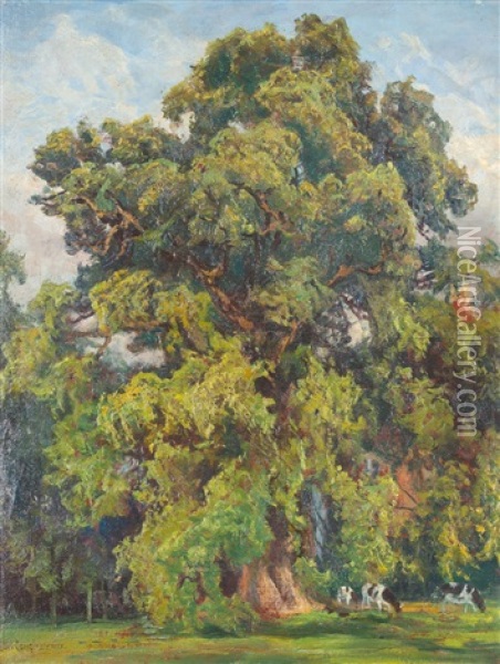 Uralte Eiche Oil Painting - Karl Langhammer