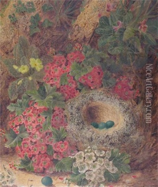 Still Lives Of Fruit And A Bird's Nest On Mossy Ground (a Pair; 2 Works) Oil Painting - Oliver Clare
