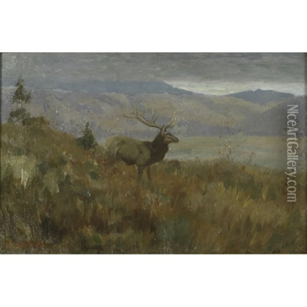 A Stag In A Mountain Landscape Oil Painting - Edwin Willard Deming