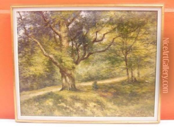 Sous-bois Oil Painting - Gerard Antoine Crehay