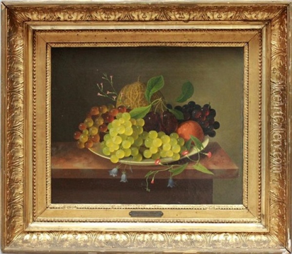 Stillleben Mit Trauben, Pflaumen Und Melone, Auf Einer Tischkante Arrangiert Oil Painting - Erdmann Schultz