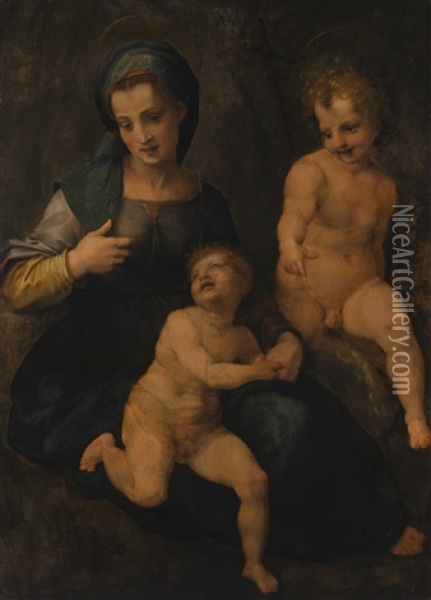 The Madonna And Child With Saint John Oil Painting - Andrea Del Sarto