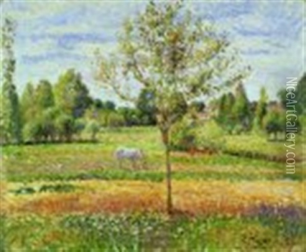 Le Pre Avec Chevalgris, Eragny - The Meadow With The Grey Horse, Eragny Oil Painting - Camille Pissarro