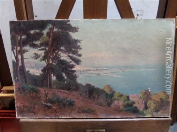 Vue D'alger Oil Painting - Gustave Lemaitre