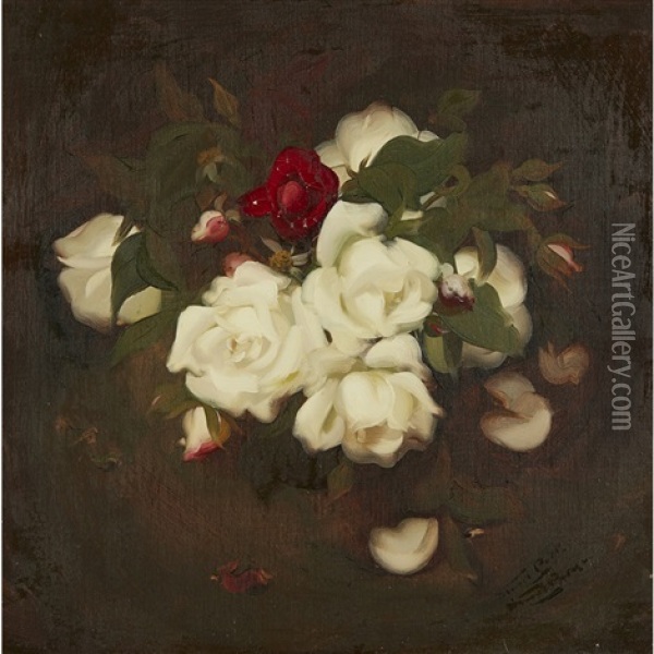 Still Life Of Roses Oil Painting - Stuart James Park