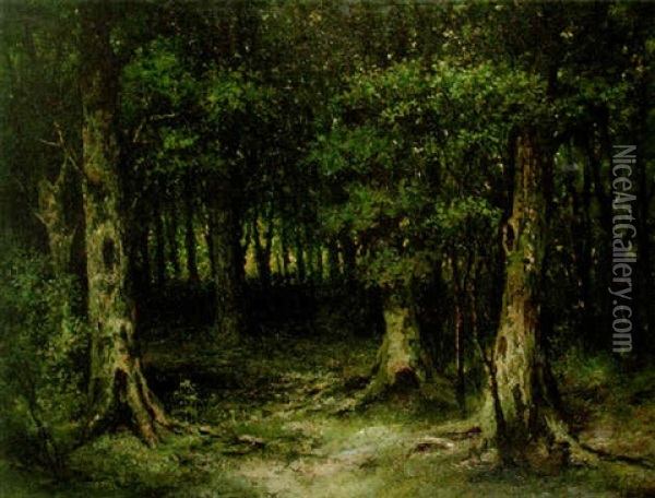 Deep Forest Oil Painting - Frederik Willem Zurcher