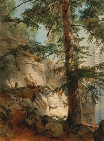 A Mountain Slope Oil Painting - Friedrich Gauermann