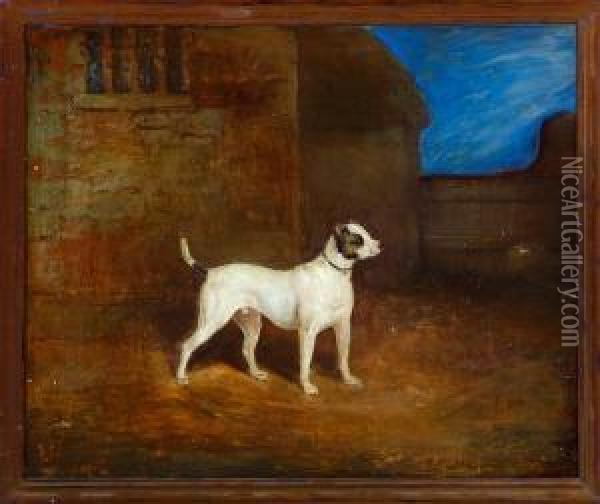 Viper, A Bull-terrier Oil Painting - Charles Bilger Spalding