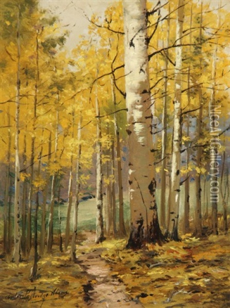 Birch Forest, Autumn Oil Painting - Charles Partridge Adams