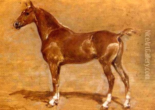 A Chestnut Foal Oil Painting - Henri Emilien Rousseau