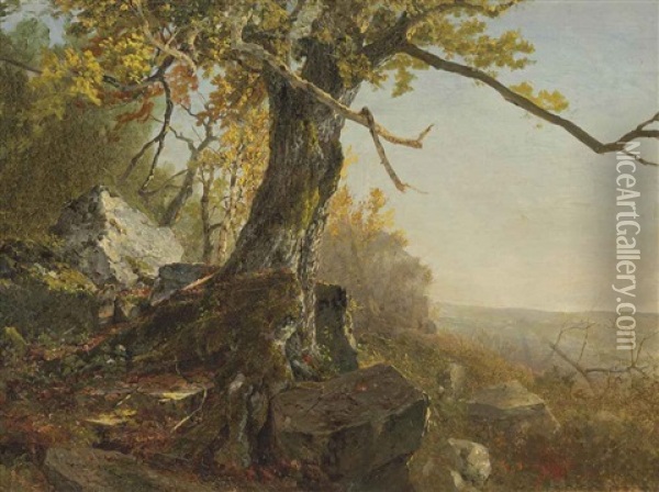 Tree In A Landscape Oil Painting - John Frederick Kensett