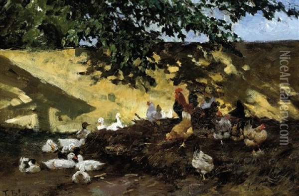 Ducks And Chickens In A Farmyard Oil Painting - Tina Blau-Lang