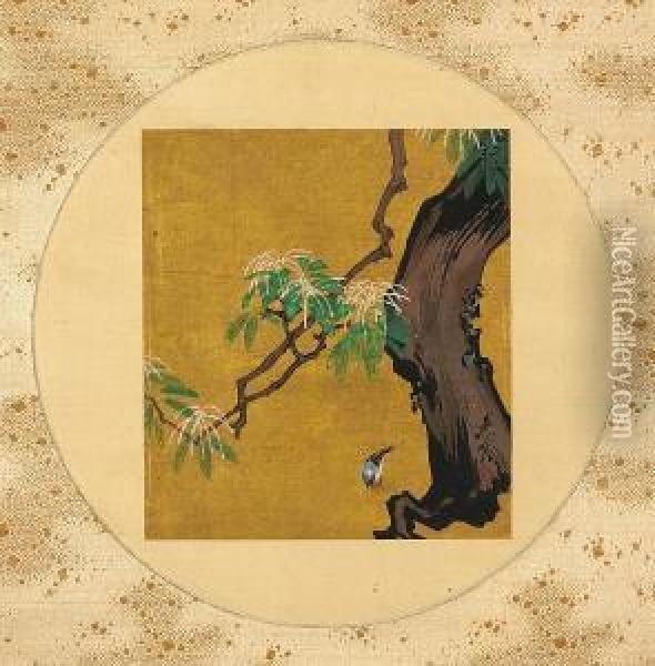 Oak And Bird Oil Painting - Shibata Zeshin