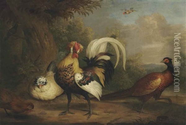 A Cock, A Pheasant And Other Birds In A Landscape Oil Painting - Jakob Bogdani