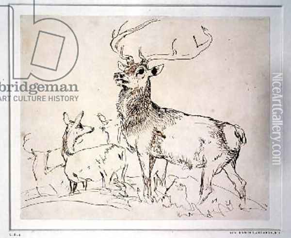 Stag and Does Oil Painting - Sir Edwin Henry Landseer