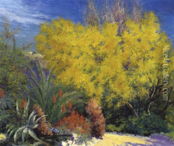 Bluhende Mimosen Oil Painting - Pablo (Poul) Schouboe