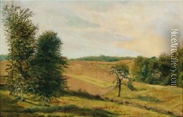 A Summerlandscape Oil Painting - Vilhelm Peter Karl Kyhn