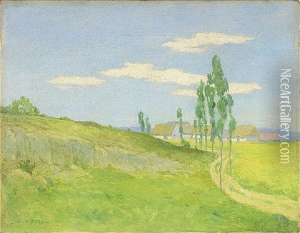 Road From A Village Oil Painting - Alois Kalvoda