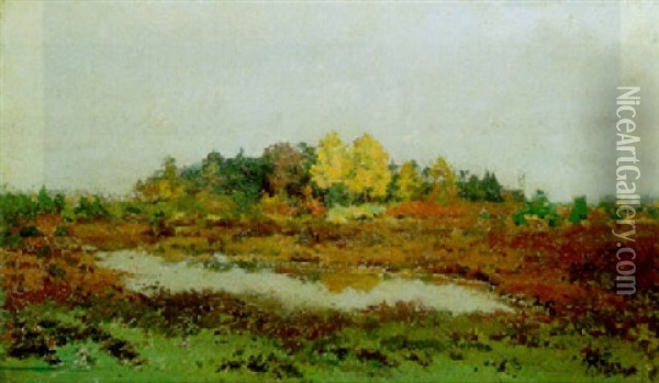 Paysage En Campine Oil Painting - Adriaan Josef Heymans