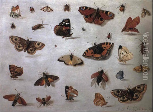 Butterflies, Moths And Beetles Oil Painting - Jan van Kessel the Elder