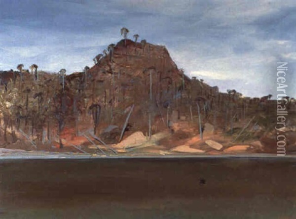 Shoalhaven Riverbank With Black Swan Oil Painting - Arthur Merric Boyd