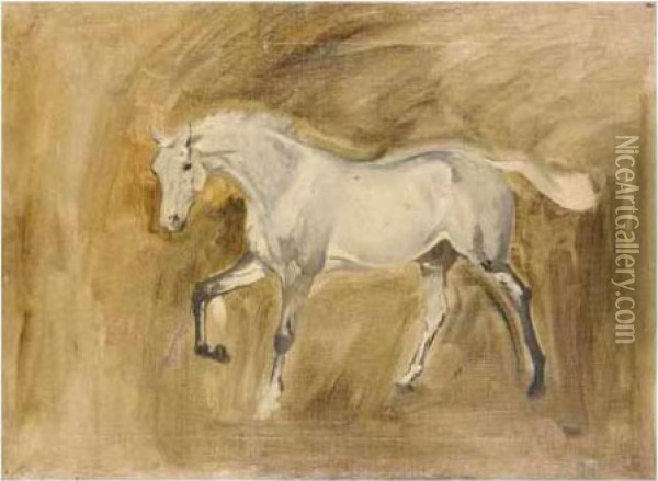 Sketch Of A Grey Horse Oil Painting - James Lynwood Palmer