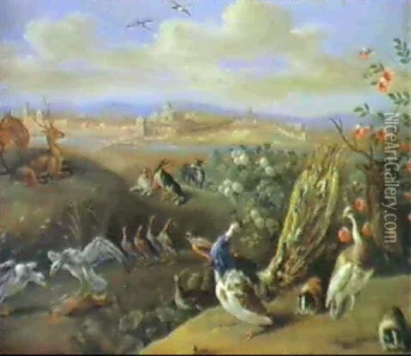 A Peacock, Other Large Birds...... Oil Painting - Jan van Kessel the Elder